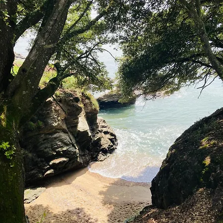 Le Clos De Jade - Appt 3 Etoiles Avec Piscine Partagee Apartmán